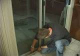 Windows - Repair Service for Windows and Doors
